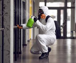 Best Environmental Consulting for Mold Prevention  in Dallastown, PA